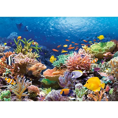 Castorland C-101511 - Korall zátony - 1000 db-os puzzle