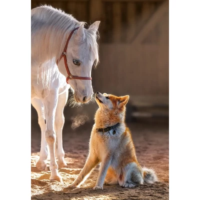 Castorland C-105076 - Unique Friendship  - 1000 db-os puzzle