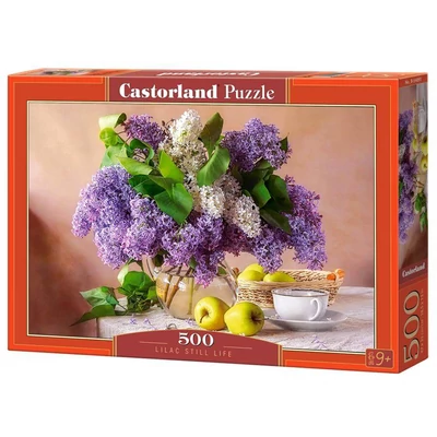 Castorland B-54091 - Csendélet orgonával - 500 db-os puzzle