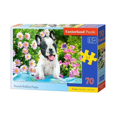 Castorland B-070152 - Francia bulldog kiskutya - 70 db-os puzzle