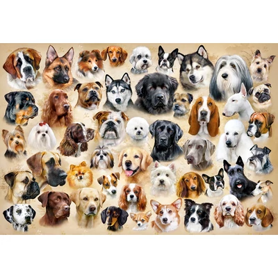 Castorland B-222162 - Kutya kollázs - 200 db-os puzzle