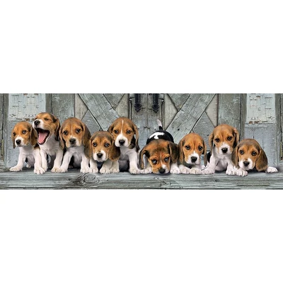 Clementoni 39435 - Beagle kiskutyák - 1000 db-os Panoráma puzzle