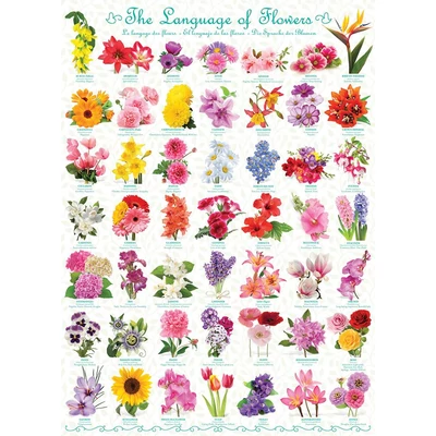 EuroGraphics 6000-0579 - The Language of Flowers - 1000 db-os puzzle