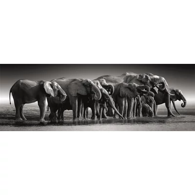Clementoni 39836 - High Quality Collection - Panoráma puzzle - Elefántcsorda - 1000 db-os puzzle