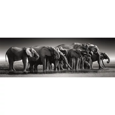 Clementoni 39895 - High Quality Collection - Panoráma Compact - Herd Of Gigants - 1000 db-os puzzle