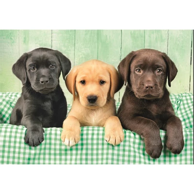 Clementoni 39946 - High Quality Collection - Three Labs - 1000 db-os Compact puzzle