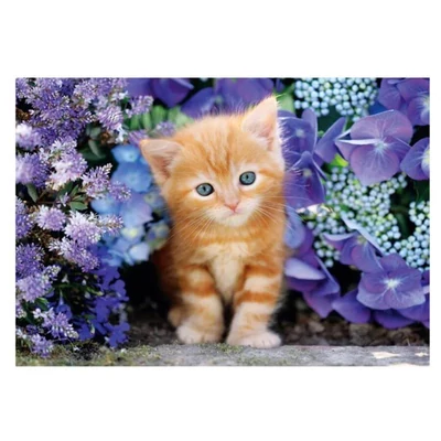 Clementoni 35585 - High Quality Collection - Ginger Cat - 500 db-os Compact puzzle