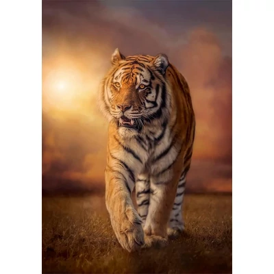 Clementoni 39773 - Tigris - 1000 db-os Compact puzzle