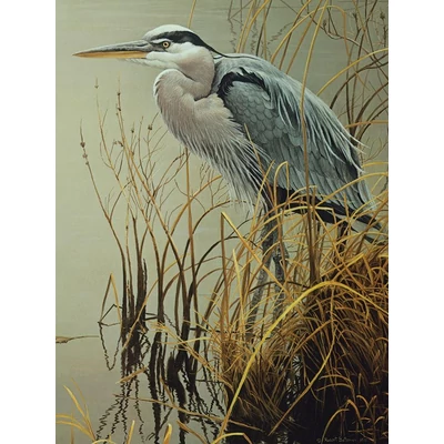 Cobble Hill 45049 - Great Blue Heron - 500 db-os puzzle