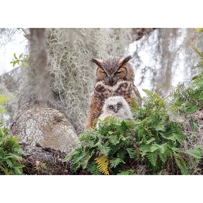 Cobble Hill 40176 - Great Horned Owl - 1000 db-os puzzle