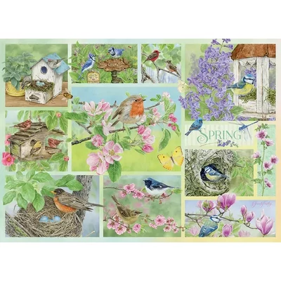 Cobble Hill 45101 - Garden Birds in Spring - 500 db-os puzzle