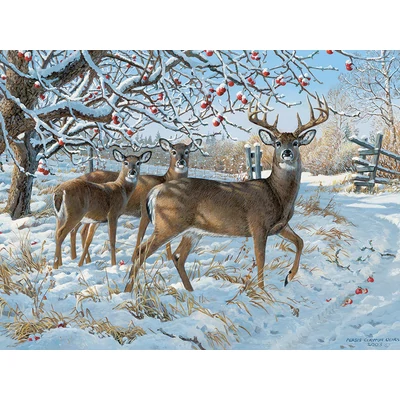 Cobble Hill 45024 - Winter Deer - 500 db-os puzzle