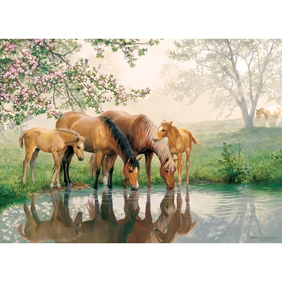 Cobble Hill 37025 - Horse Family - 350 db-os Family puzzle