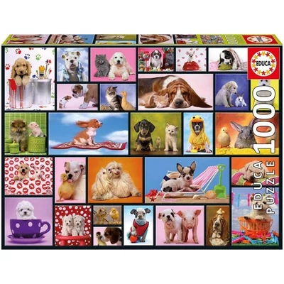 Educa 15518 - Közös pillanatok - 1000 db-os puzzle