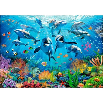 Educa 19901 - Buli a tenger alatt - 500 db-os puzzle