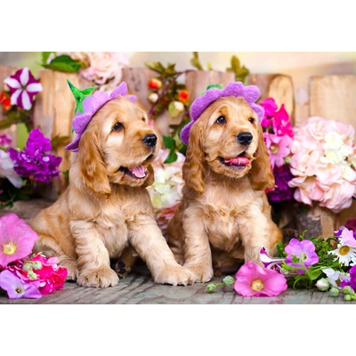 Enjoy 1263 - Spaniel Puppies with Flower Hats - 1000 db-os puzzle
