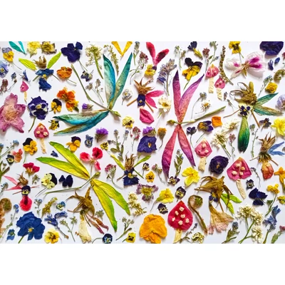 Enjoy Puzzle - 2041 - Fairies and Dragonflies - 1000 db-os puzzle