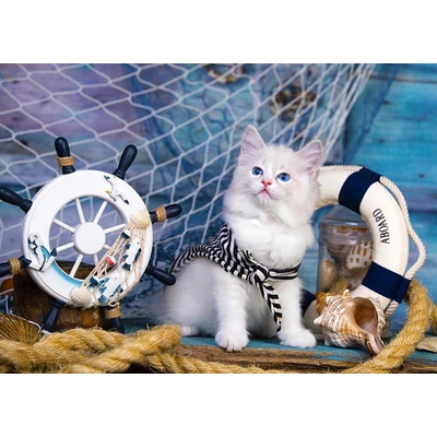 Enjoy Puzzle - 1329 - Captain Kitten - 1000 db-os puzzle