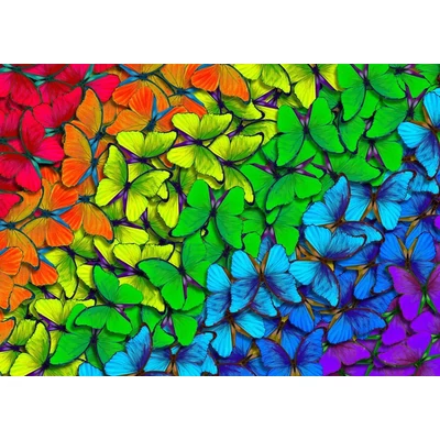 Enjoy 1961 - Rainbow Butterflies - 1000 db-os puzzle
