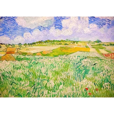 Enjoy 1176 - Vincent Van Gogh: Plain near Auvers - 1000 db-os puzzle