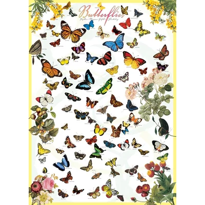 EuroGraphics 6000-0077 - Butterflies - 1000 db-os puzzle