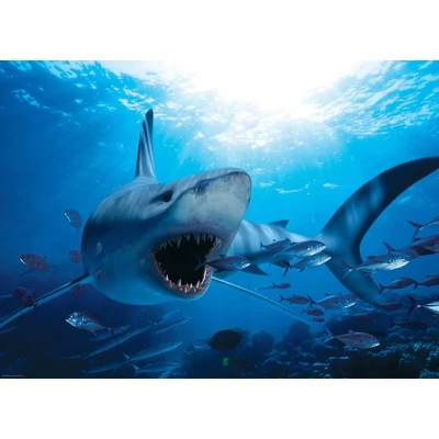 EuroGraphics 6000-0299 - Hungry Shark - 1000 db-os puzzle