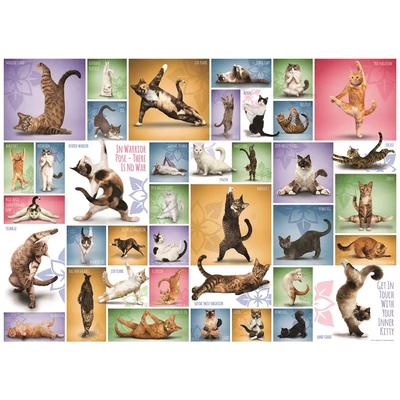 EuroGraphics 6000-0953 - Yoga Cats - 1000 db-os puzzle