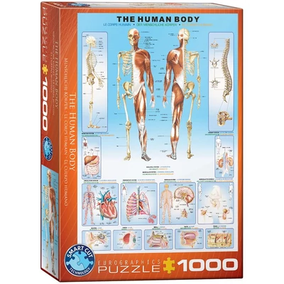 EuroGraphics 6000-1000 - The Human Body - 1000 db-os puzzle