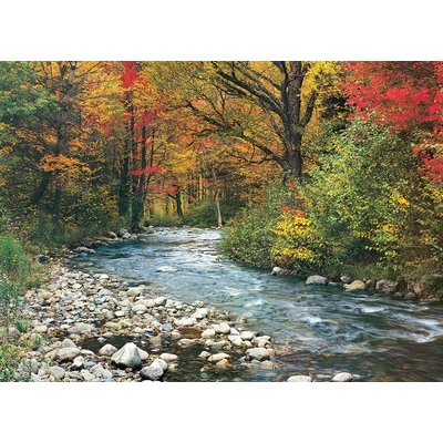 EuroGraphics 6000-2132 - Forest Stream - 1000 db-os puzzle