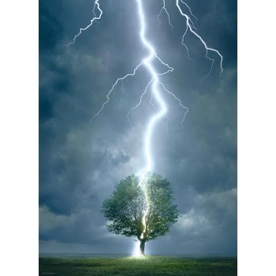 EuroGraphics 6000-4570 - Lightning Striking Tree - 1000 db-os puzzle
