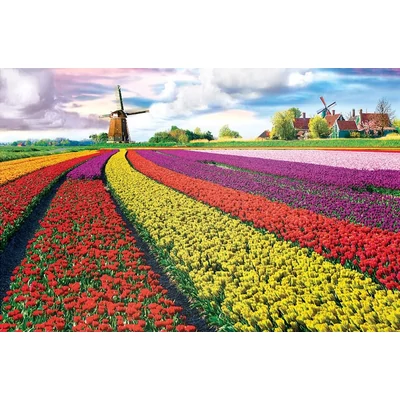 EuroGraphics 6000-5326 - Tulip Fields, Netherlands - 1000 db-os puzzle