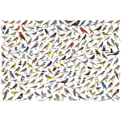 EuroGraphics 8220-0821 - The World of Birds - 2000 db-os puzzle