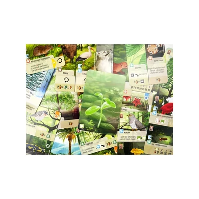 Az erdő - Felfedezés kiegészítő (ASM34738)