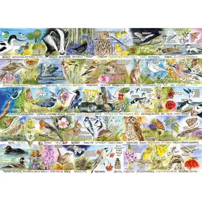 Gibsons 7151 - RSPB - Birdsong &amp;amp; Bluebells - 1000 db-os puzzle