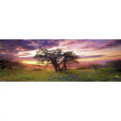 Heye 29472 - Panoráma puzzle - Tölgyfa, Edition Humboldt - 2000 db-os puzzle