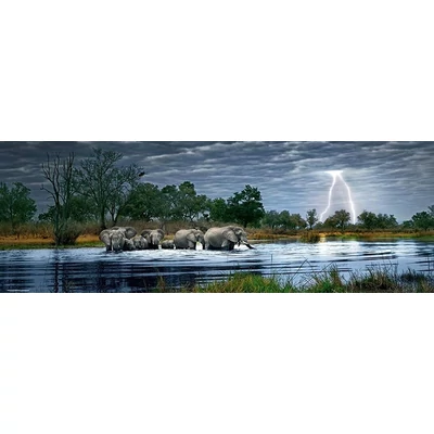 Heye 29508 - Panoráma puzzle - Elefántcsorda, Edition Humboldt - 2000 db-os puzzle