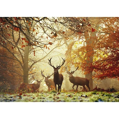 Heye 29805 - Magic Forests - Stags - 1000 db-os puzzle
