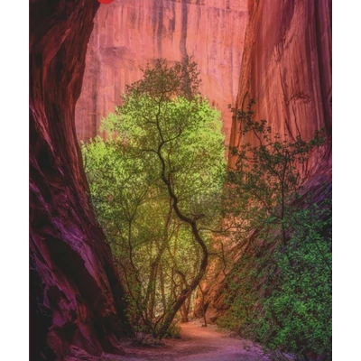 Heye 29944 - Power of Nature - Singing Canyon - 1000 db-os puzzle