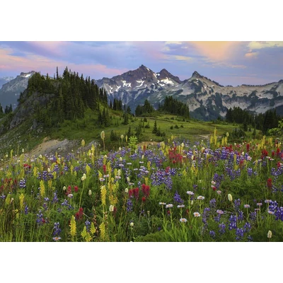 Heye 29903 - Tatoosh Mountains, Humboldt - 2000 db-os puzzle