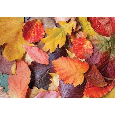Magnolia 3525 - Colorful Leaves - 1000 db-os puzzle
