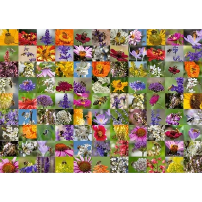 Ravensburger 17386 - Bee Collage - 1000 db-os puzzle