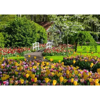 Ravensburger 12000851 - Keukenhof Gardens - 1000 db-os puzzle