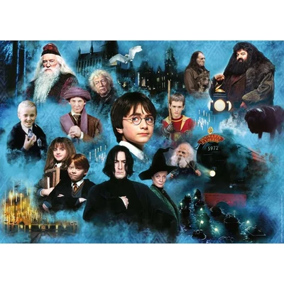 Ravensburger 17128 - Harry Potter varázslatos világa - 1000 db-os puzzle