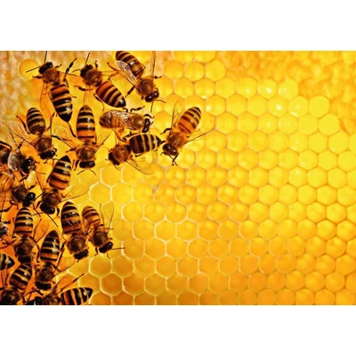 Ravensburger 12000614 - Challenge - Bees - 1000 db-os puzzle