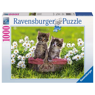 Ravensburger 19480 - Piknik a réten - 1000 db-os puzzle