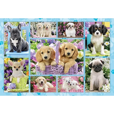 Schmidt 56162 - Puppies - 200 db-os puzzle