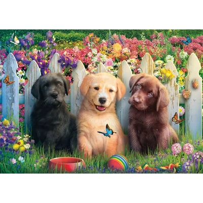 Schmidt 58883 - Cute puppies scene - 1000 db-os puzzle