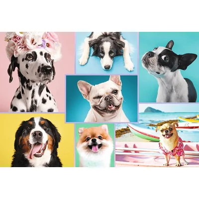 Trefl 26186 - Édes kutyusok - 1500 db-os puzzle