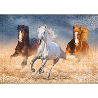 Ulmer 0657 - Queens of the Desert - 1000 db-os puzzle