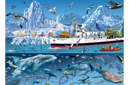 Bluebird 1500 db-os puzzle - Francois Ruyer - Arctic - Bluebird Boat (90038)